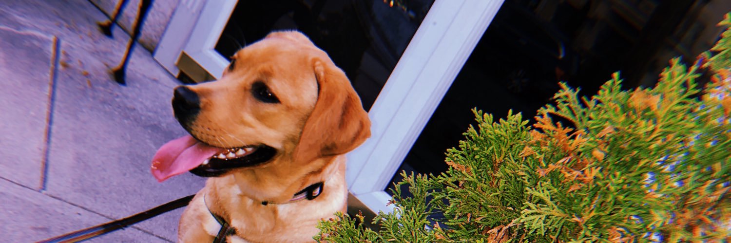 BiancaJoy33's profile banner image