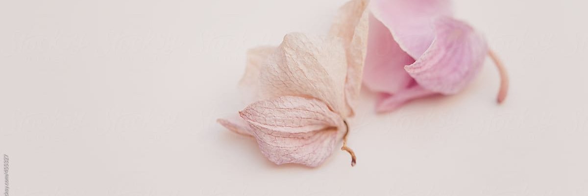 ririhurry's profile banner image