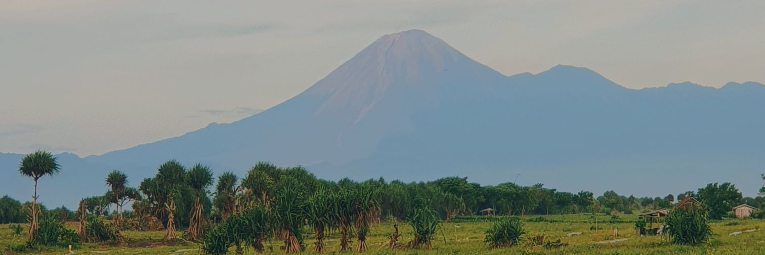 diirandra's profile banner image