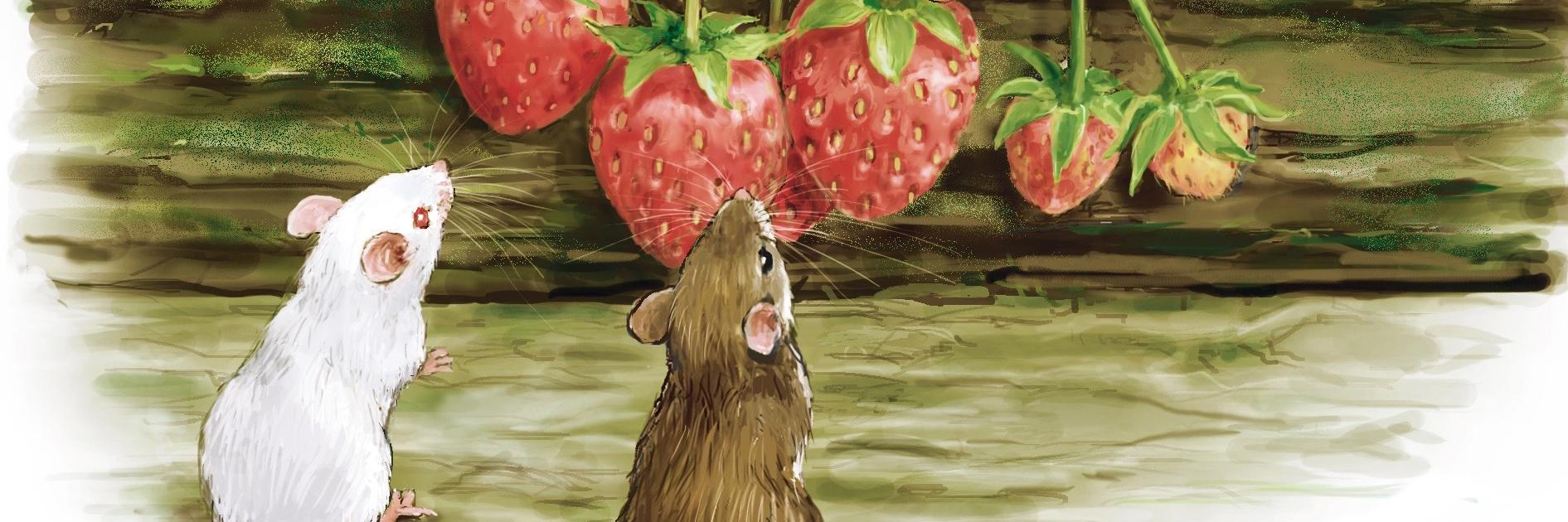 Mika＠ねずみ絵描き banner