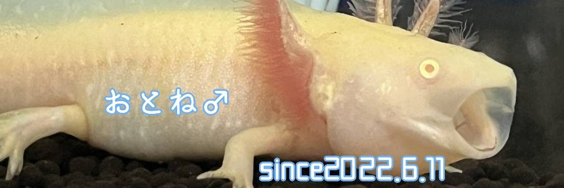 うにゃぎ banner