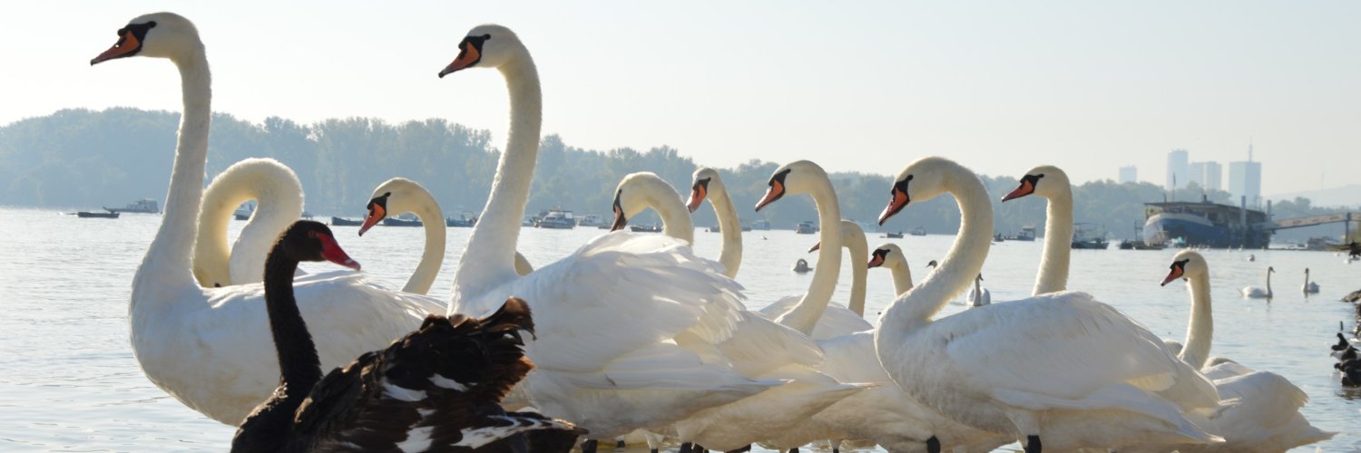 Блузбаба banner