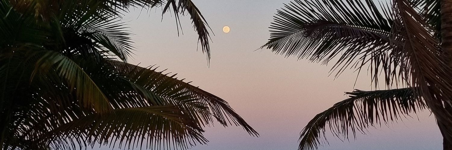 SW_GeekCouple's profile banner image