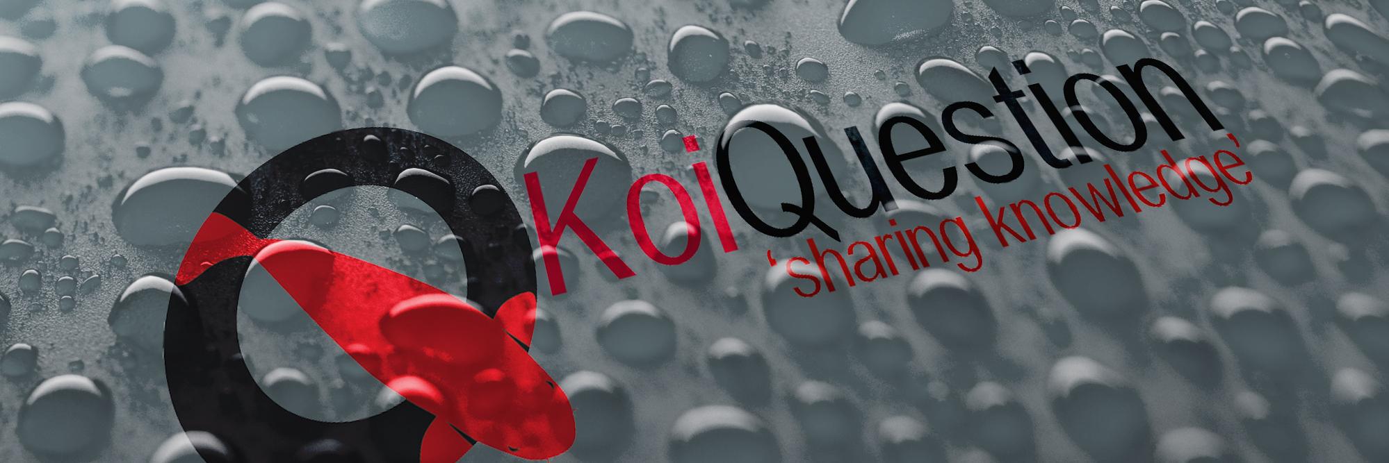 KoiQuestion's profile banner image