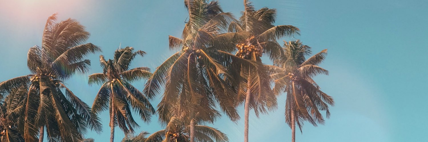 pinkpangea's profile banner image