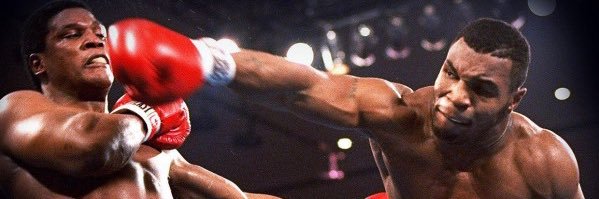boxing sensei banner