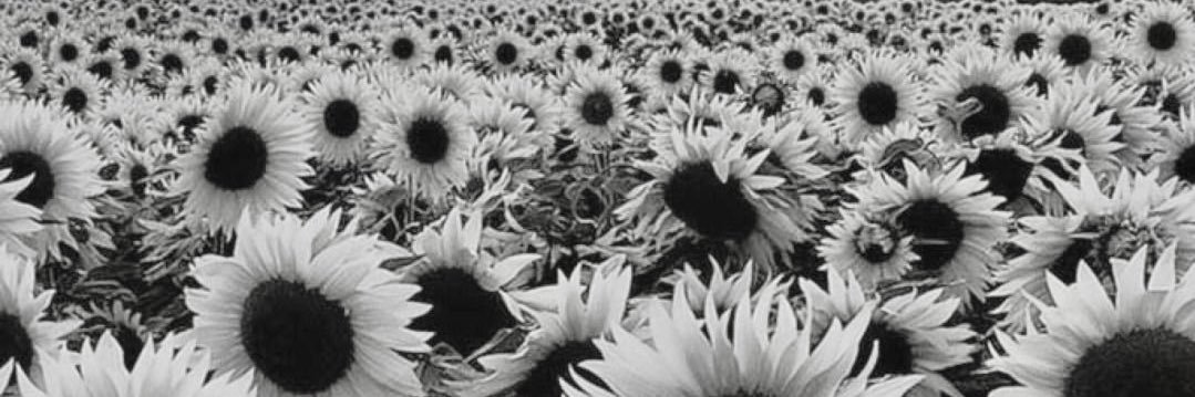 earlyns's profile banner image