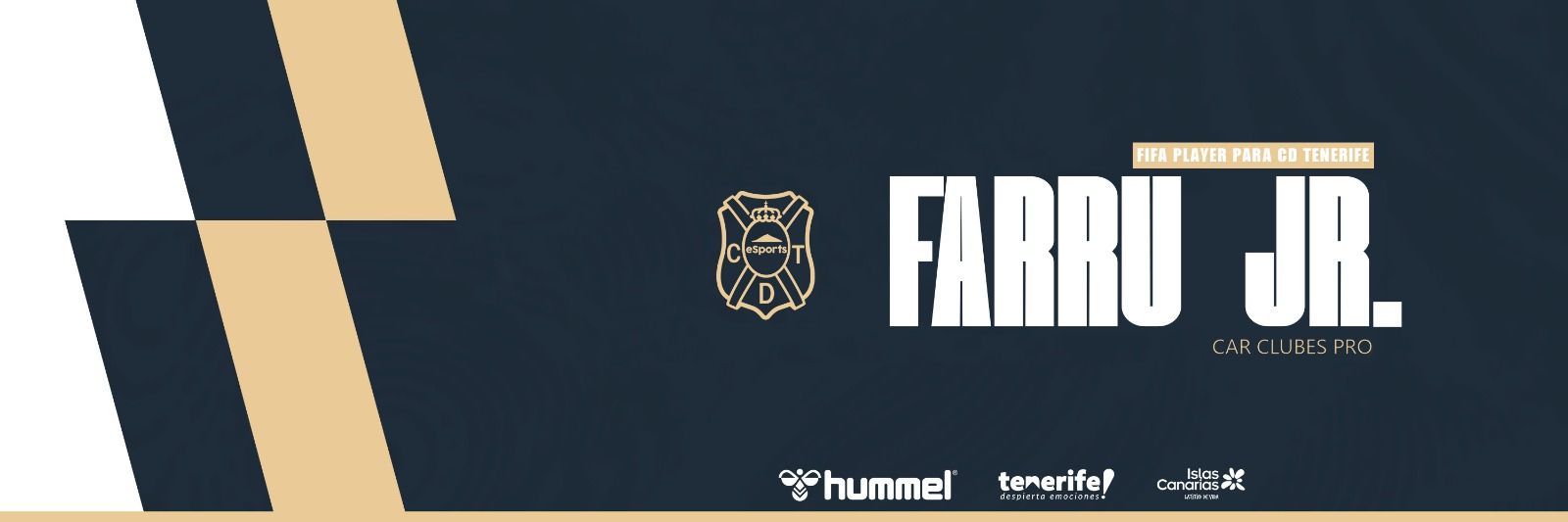 Hector_Fonteide's profile banner image