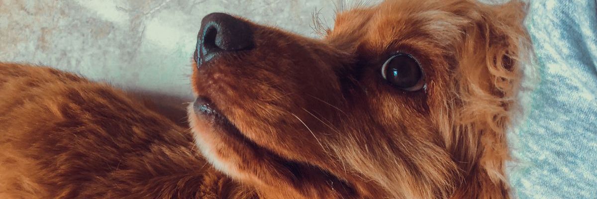 luismarquezsc's profile banner image