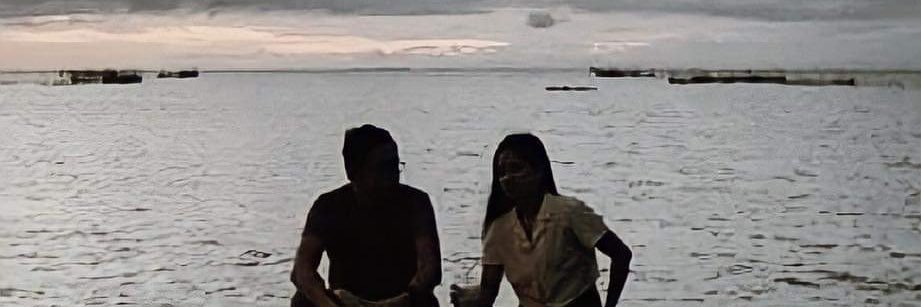 negrostarsier's profile banner image