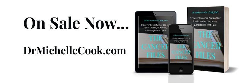 Michelle Schoffro Cook banner