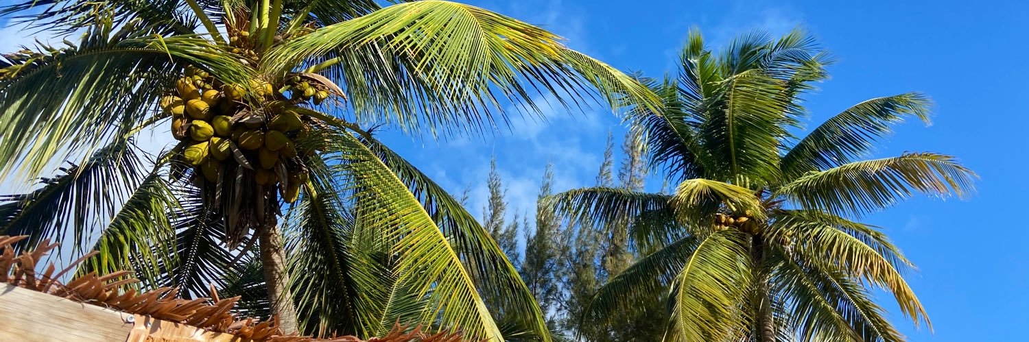 ᴹⁱˢᶠⁱᵗ banner