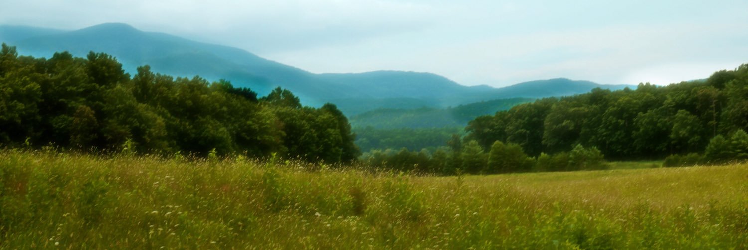 wicks_bradley's profile banner image