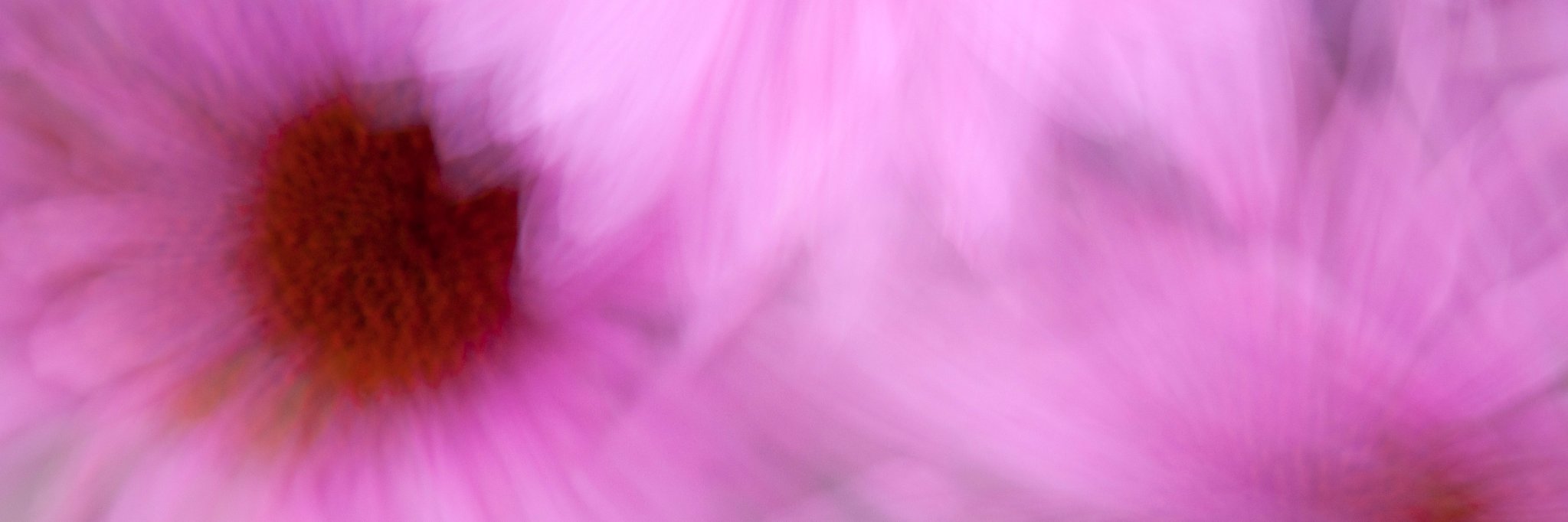 skthelen's profile banner image