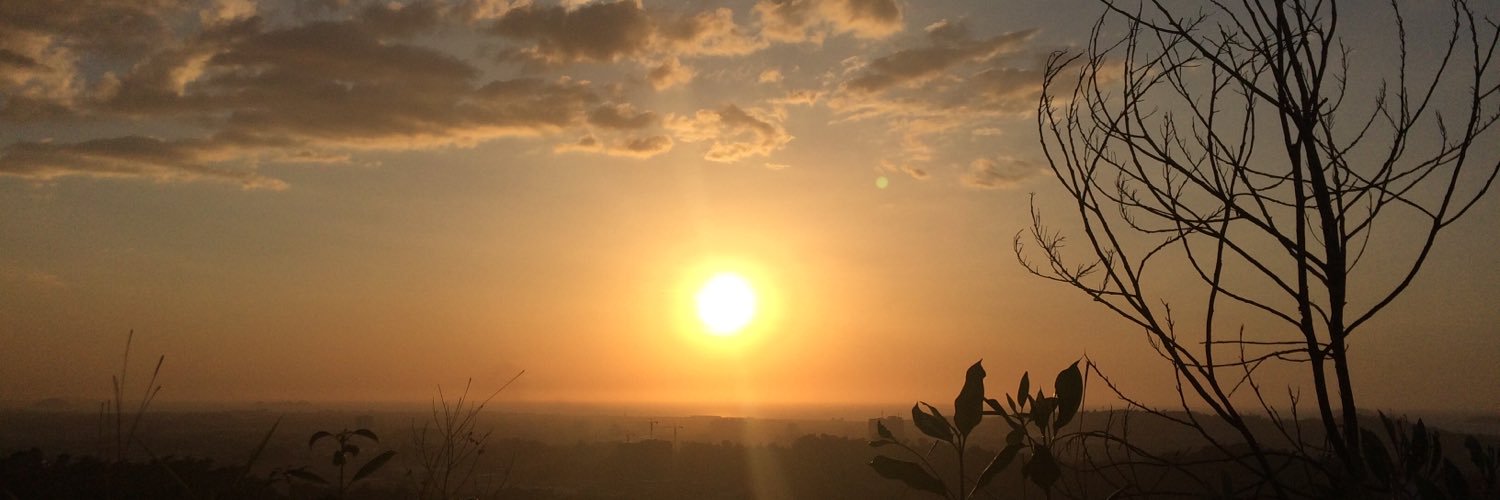 LiloLyanne's profile banner image