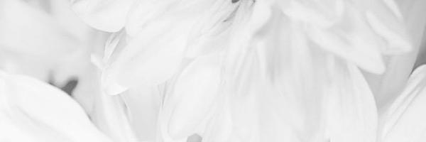 HarithFahmie's profile banner image