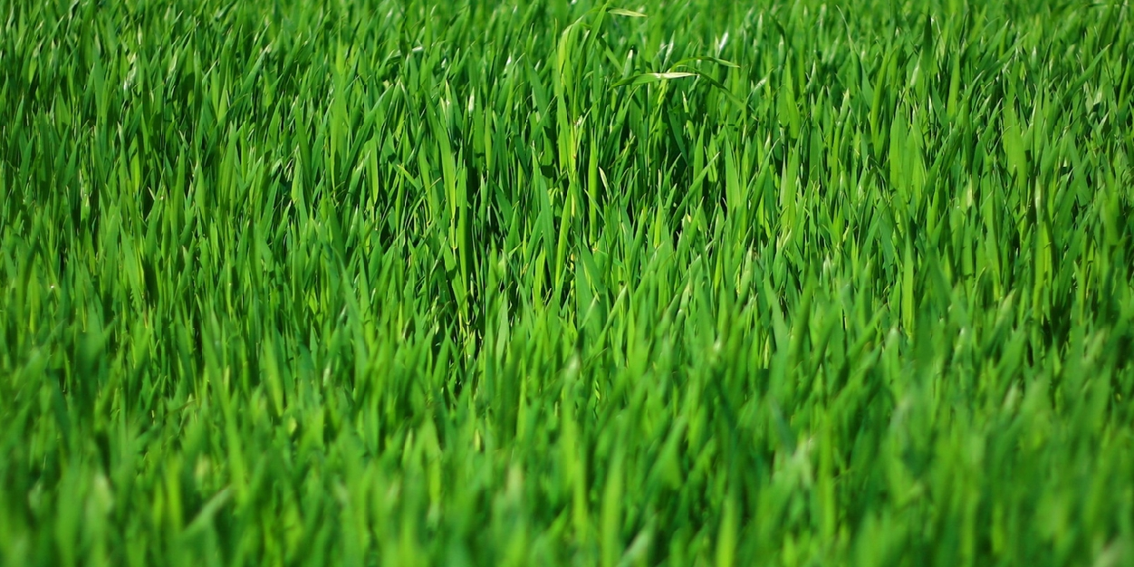 FutureSerge's profile banner image
