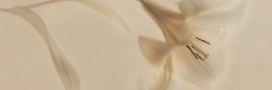 simona banner