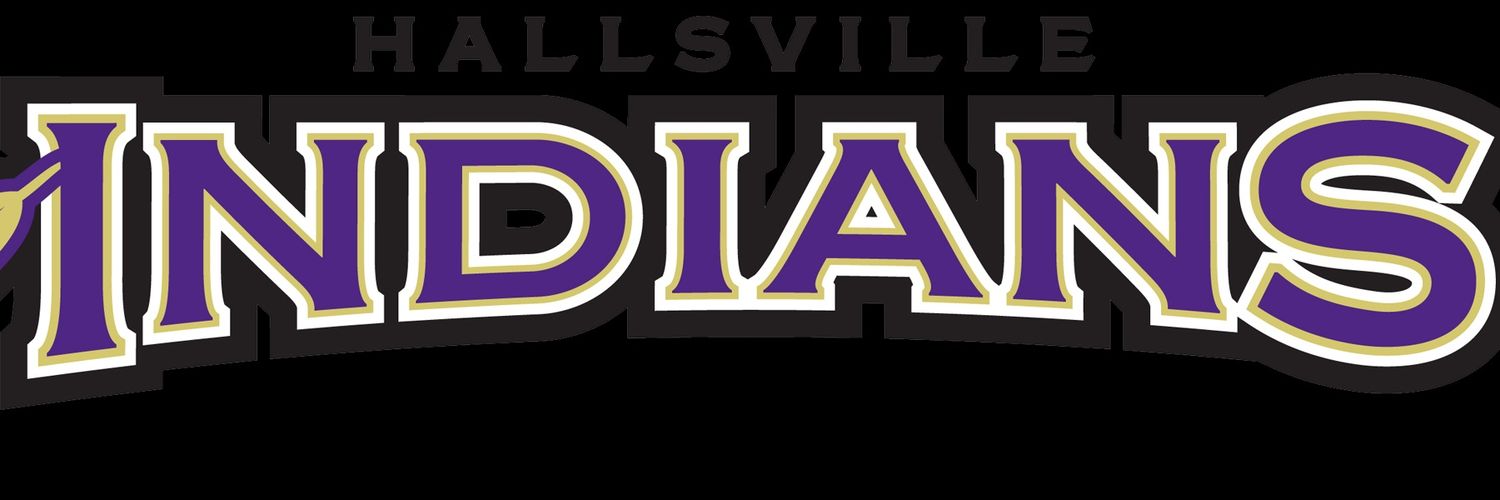 IndnSball banner