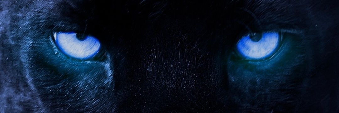 Dylan Jones banner