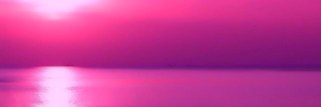 amelpm's profile banner image