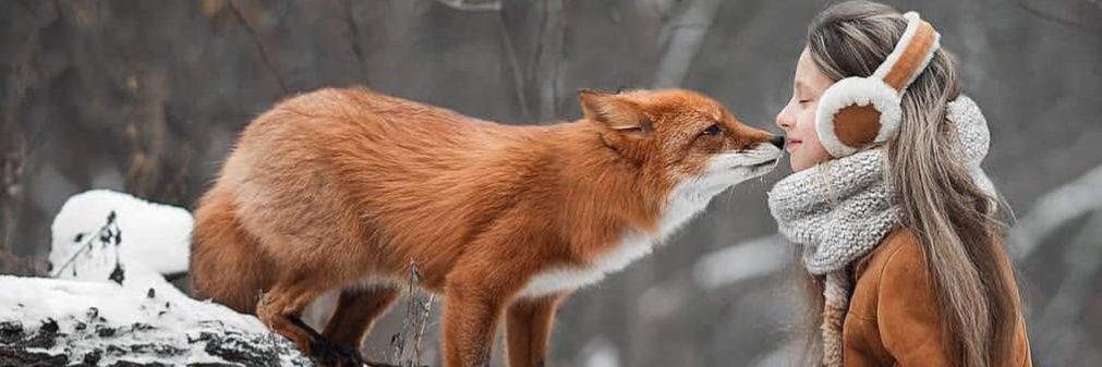 Pandaron3's profile banner image