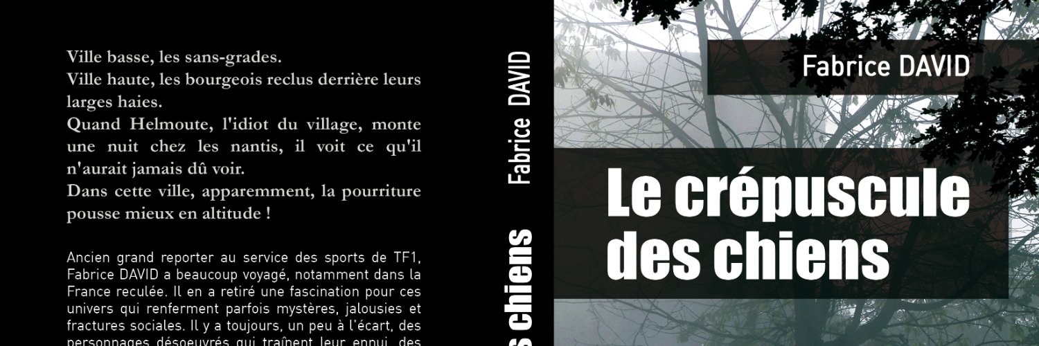 Fabrice DAVID banner