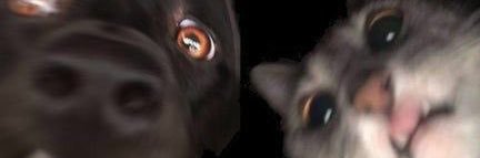BrunoSchauren's profile banner image