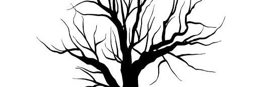 PeeTy60936292's profile banner image