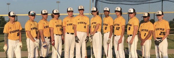 STL_Tigers Profile Banner