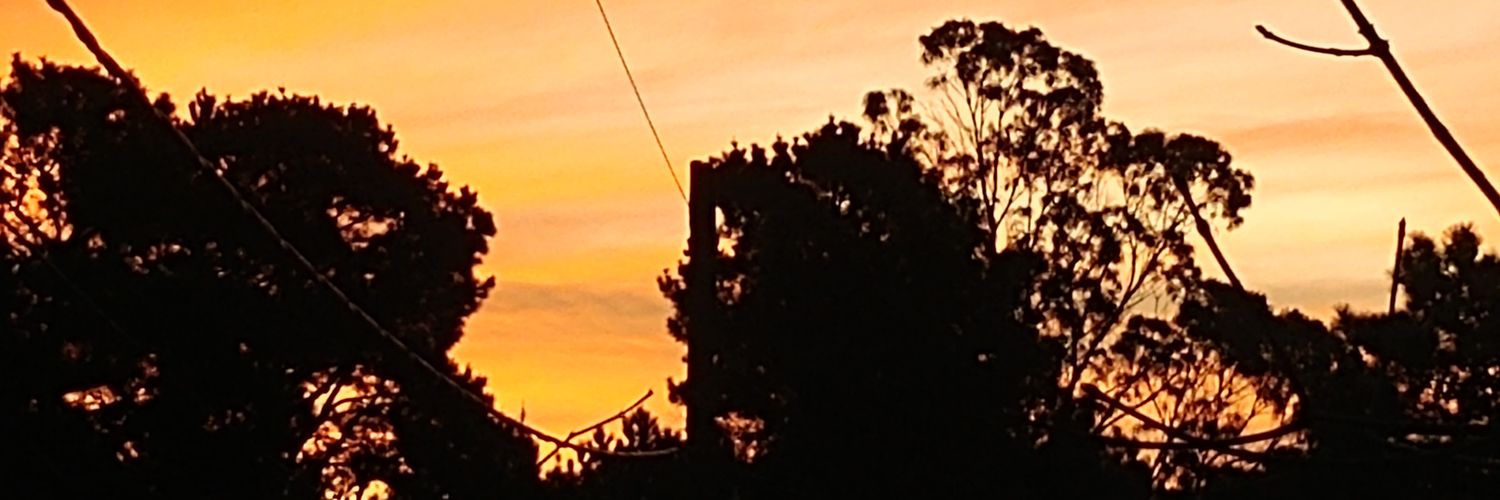 lucio lopez banner