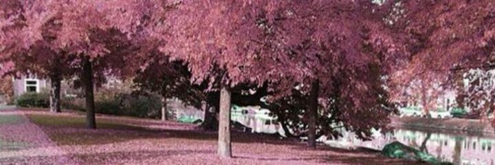 GabbySarahi's profile banner image
