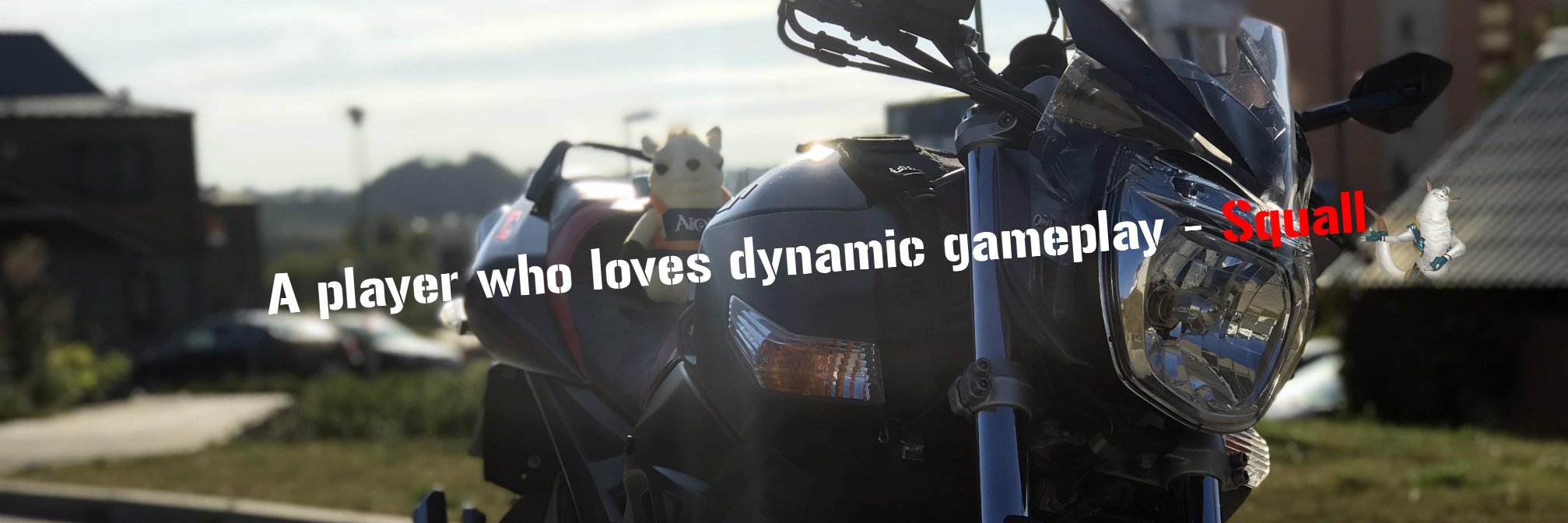 SquallGaming's profile banner image