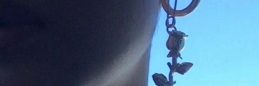 mofapan's profile banner image