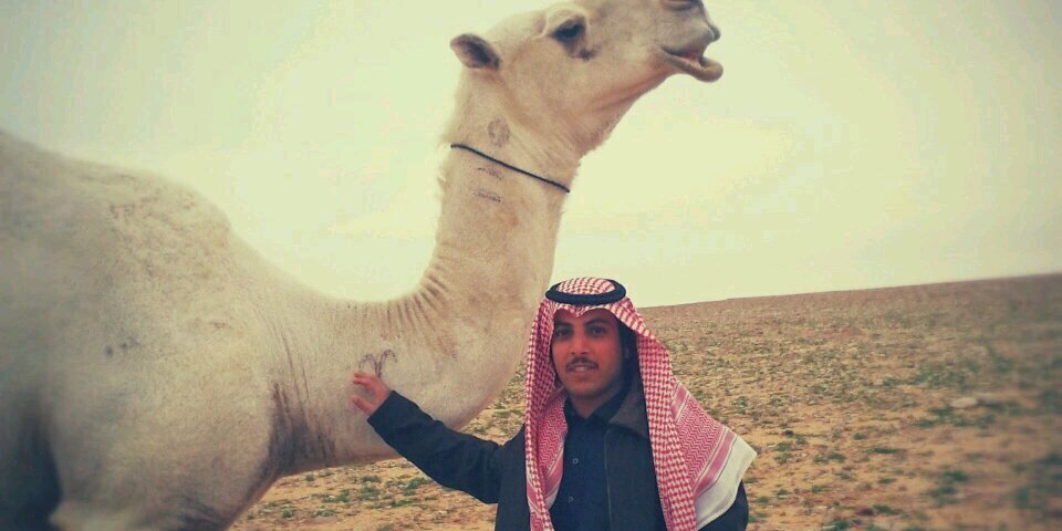 al_maner's profile banner image