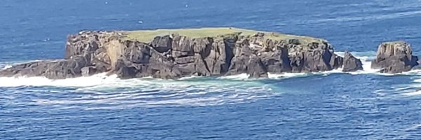 Jose48301894 Profile Banner