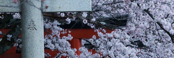 AmbitiousRabbt's profile banner image