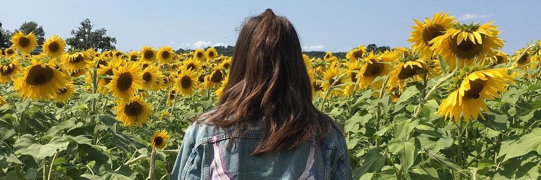 stfumarisol's profile banner image
