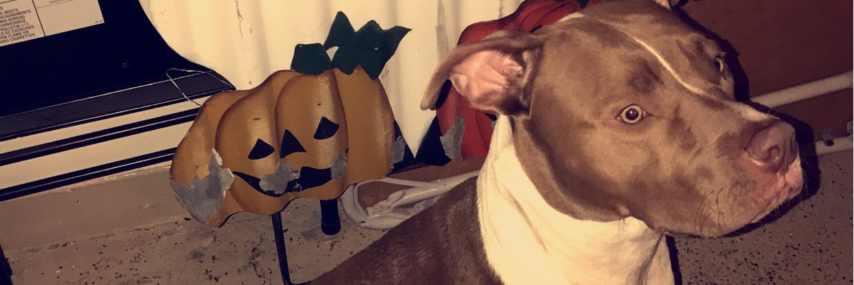 LxrdTreey's profile banner image