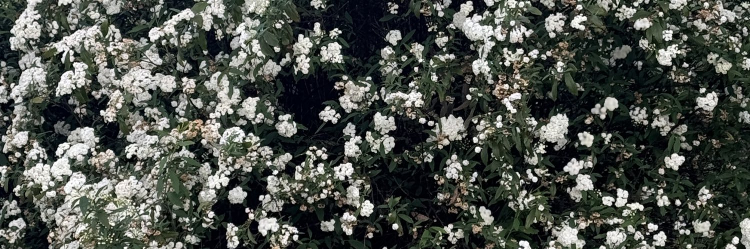 narnbread_'s profile banner image