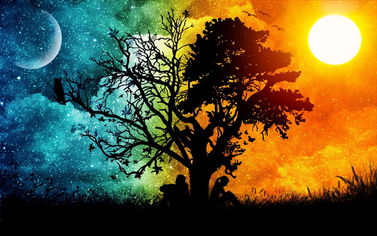 DAMiller92's profile banner image