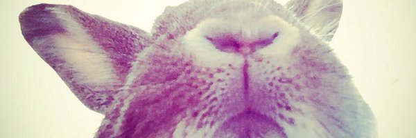 ArtByBai Profile Banner