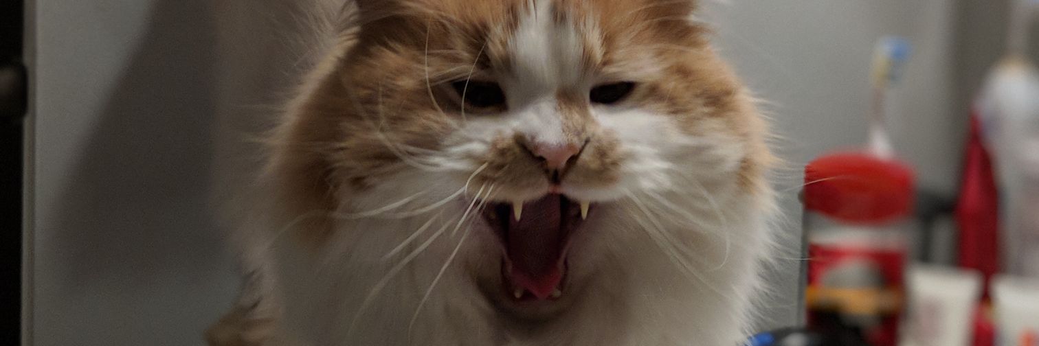 jMeow83's profile banner image