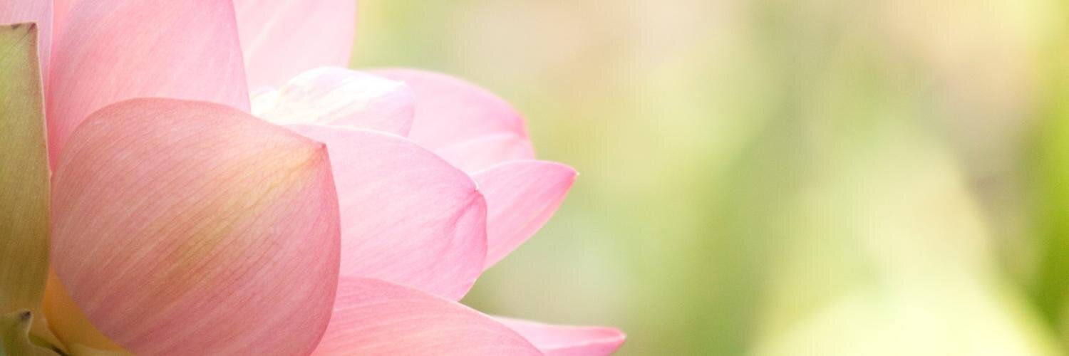 ampartlow's profile banner image
