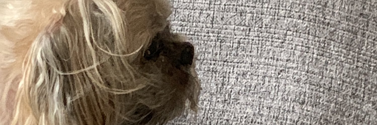 celinhadosus's profile banner image