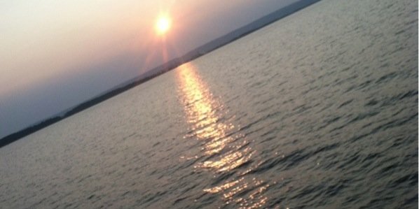 RachelNemo's profile banner image