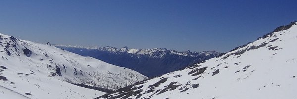 luchosync Profile Banner