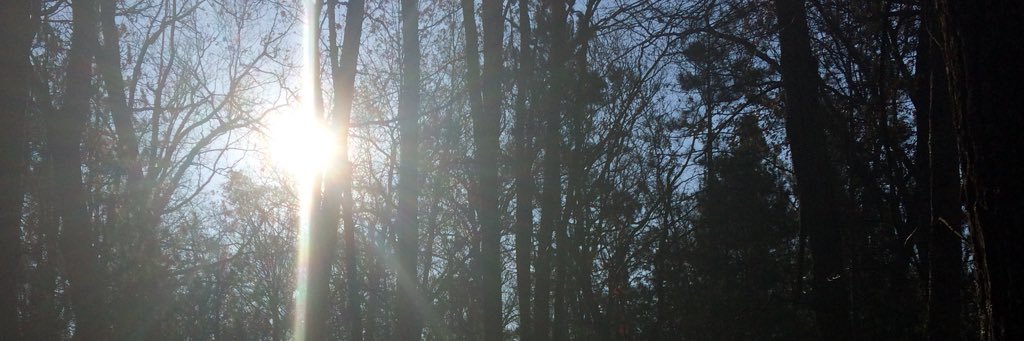 KateMollison's profile banner image