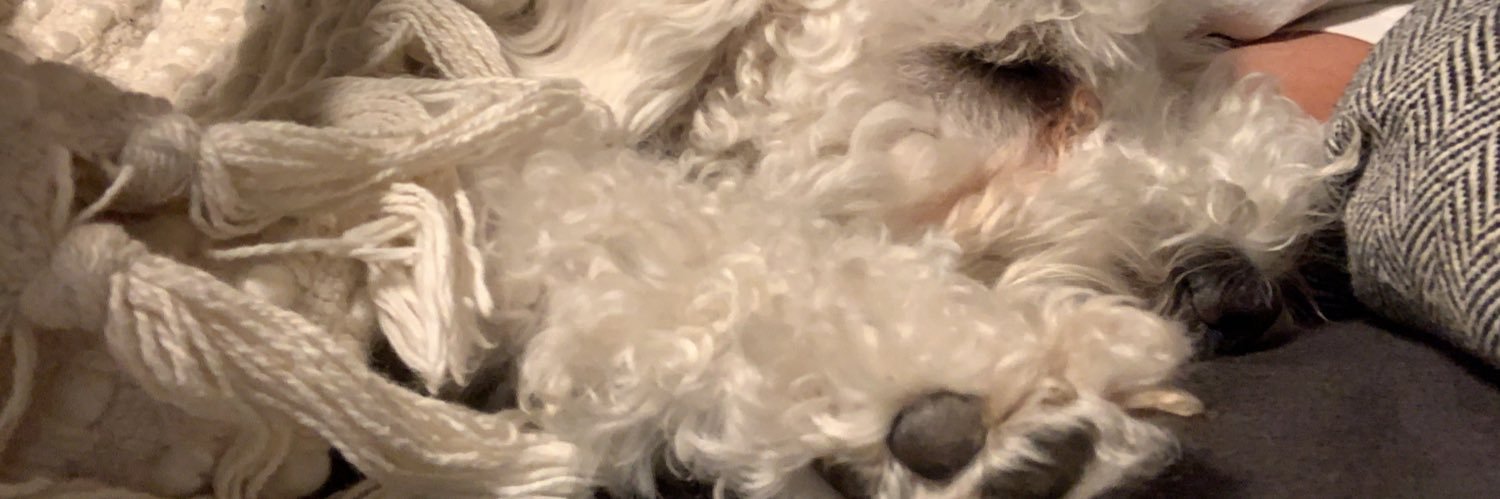 lareynadelranch's profile banner image