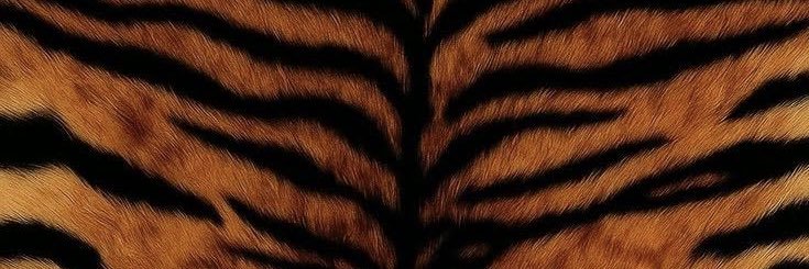 itsangwizzle's profile banner image
